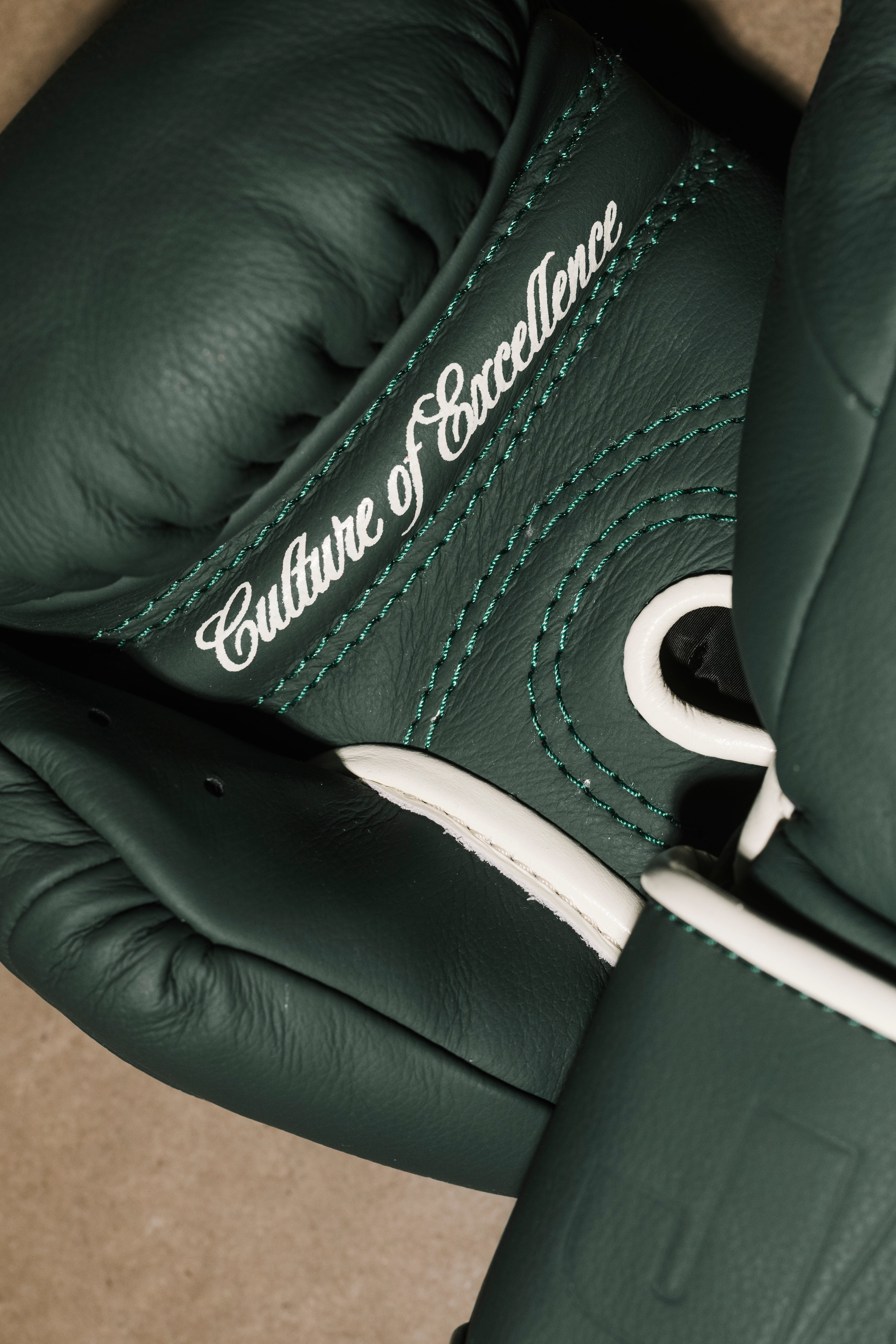 Premium Leather Boxing Gloves - JAB Boxing Store