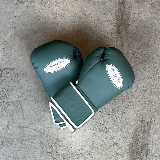 Premium Leather Boxing Gloves